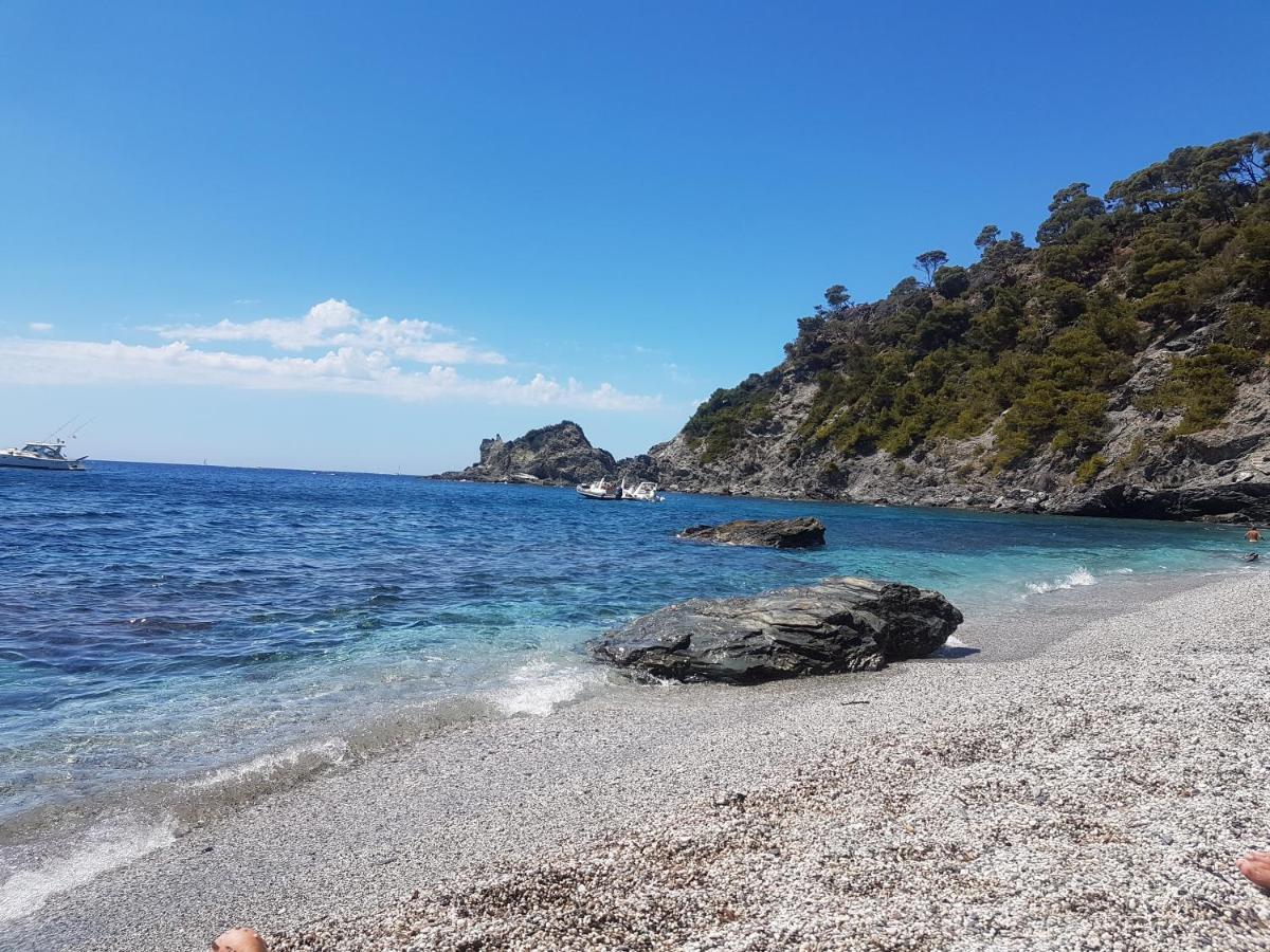 Villa Des 2 Geais Les Playes Экстерьер фото